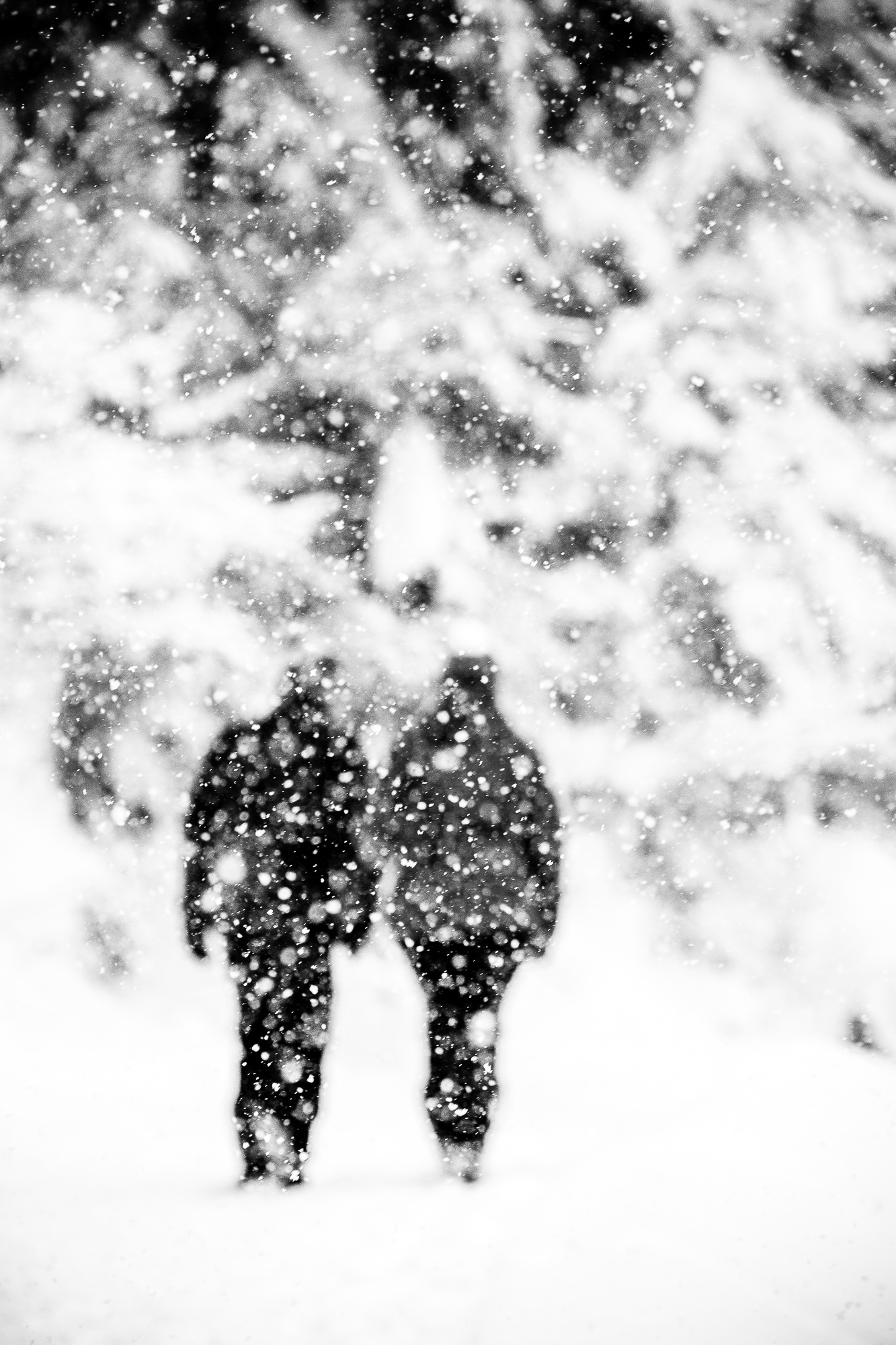 Export x3 1DX29386 Verlobungsfotoshooting 2018 Anna & Dominik 4